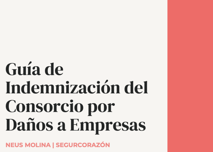 guia indemnización consorcio