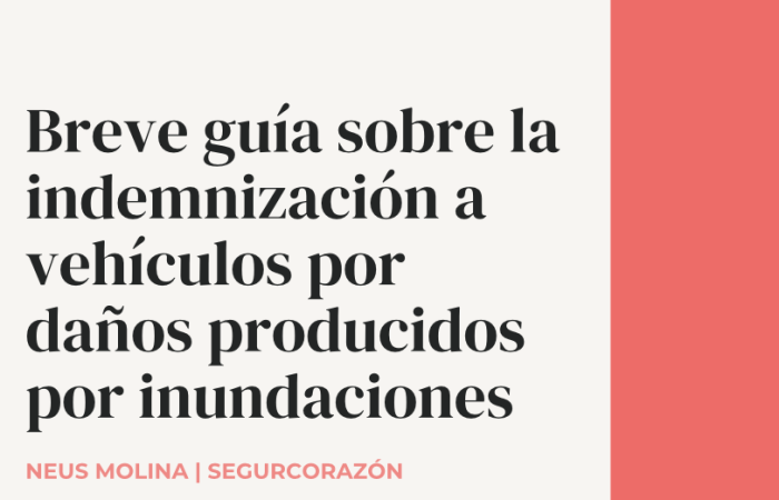 guia indemnizacion consorcio